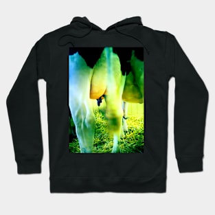 Cow Utters Hoodie